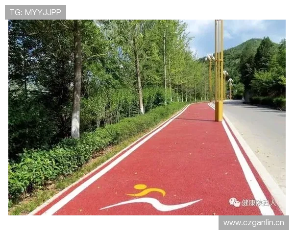 通搏体育对社区健身活动普及的重要性分析