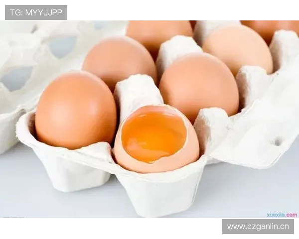 NG南宫官网下载入口官方渠道，避免假冒网站确保软件正版与使用安全