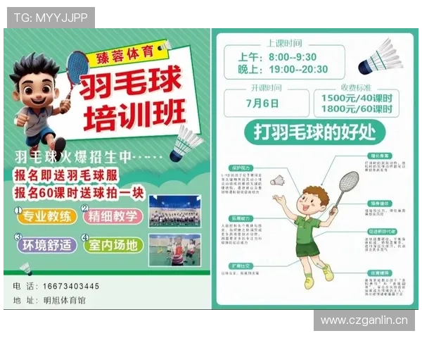 爱游戏体育：打造专业赛事与全民娱乐的完美结合